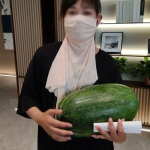 网红大瓜博雅吃瓜视频最全观看,全网最全大瓜集锦，一网打尽网红热点